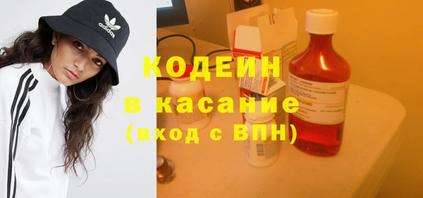 дмт Тавда