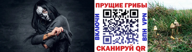 Галлюциногенные грибы мицелий  Кудымкар 